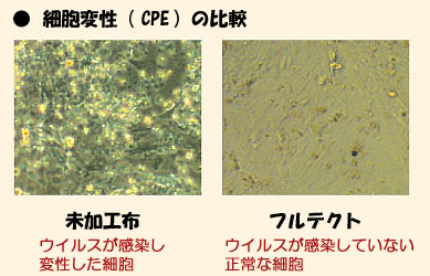 フルテクトの抗ウイルス効果